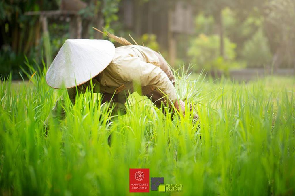 The Marndadee Heritage Chiang Mai Luaran gambar
